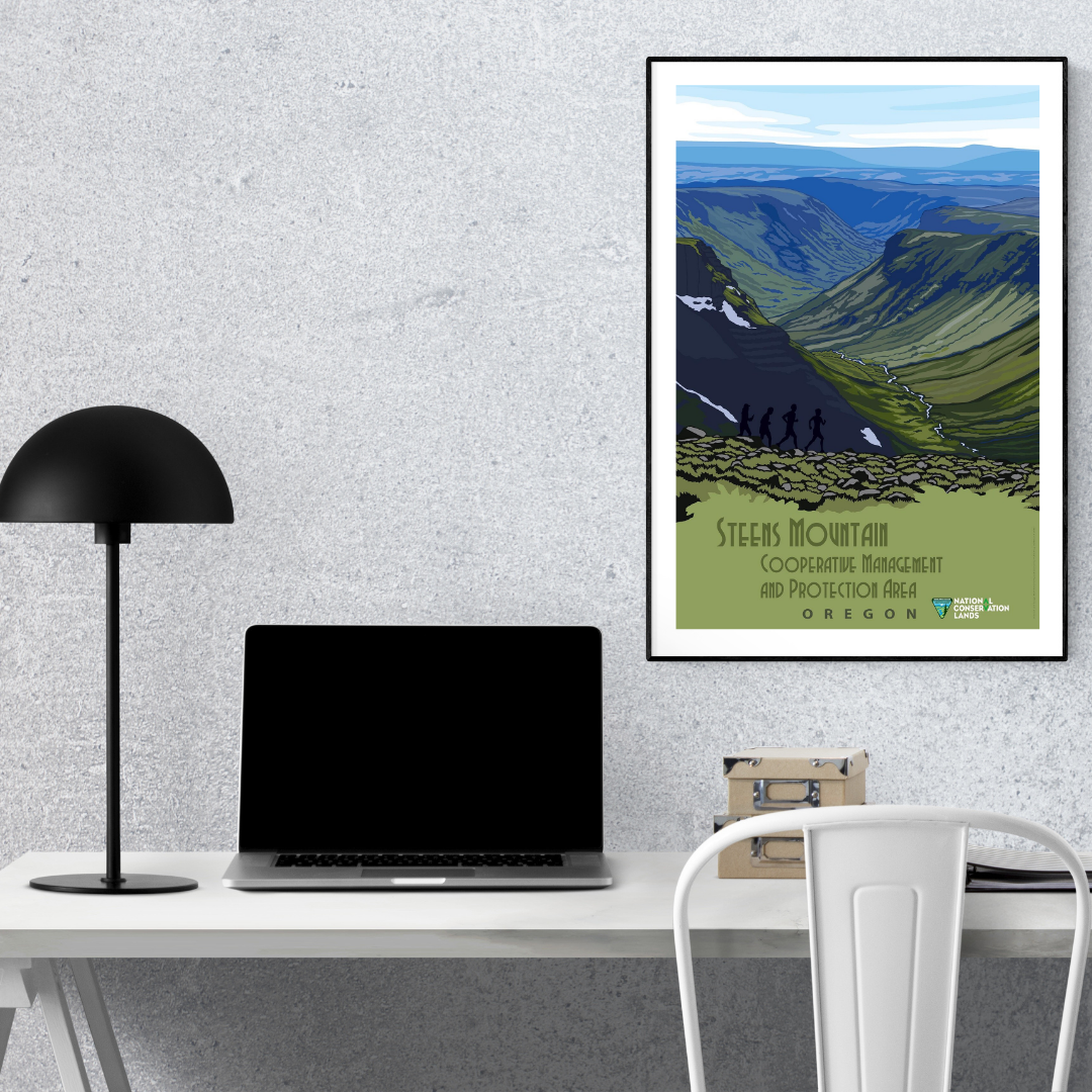 Steens Mountain Cooperative Management Area in Oregon Poster Print – Vintage Oregon Wilderness Wall Art