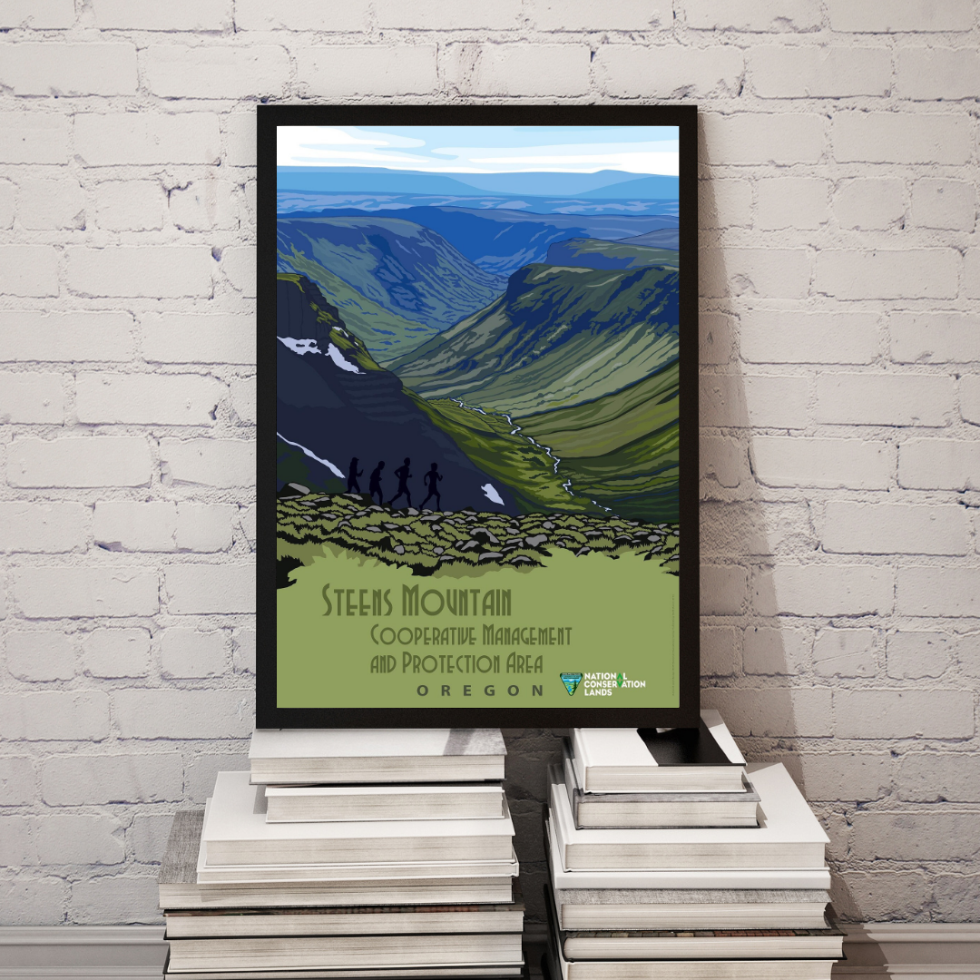 Steens Mountain Cooperative Management Area in Oregon Poster Print – Vintage Oregon Wilderness Wall Art