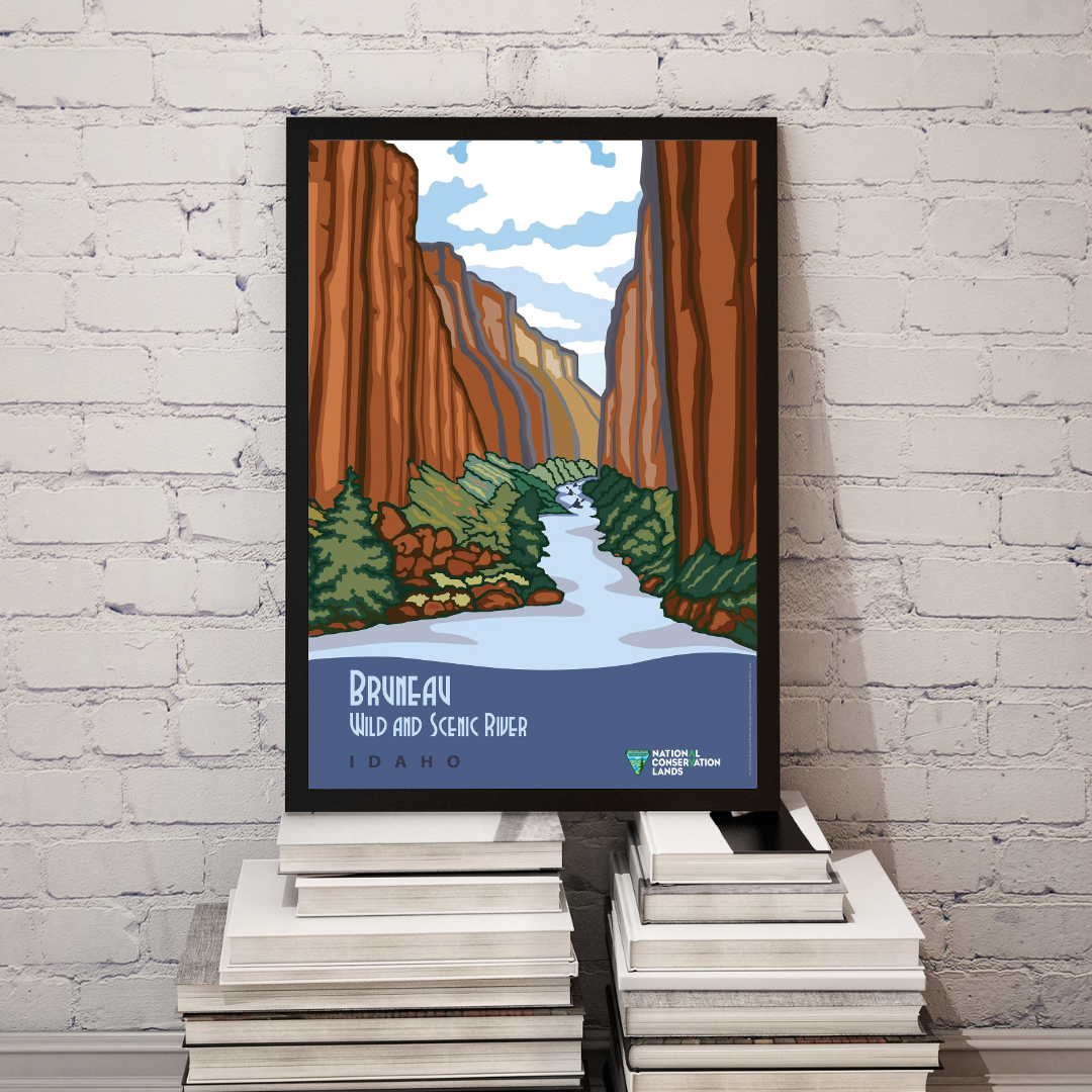 Bruneau Wild and Scenic River Poster Print – Scenic Idaho Canyon Wall Art, Nature & Outdoor Decor
