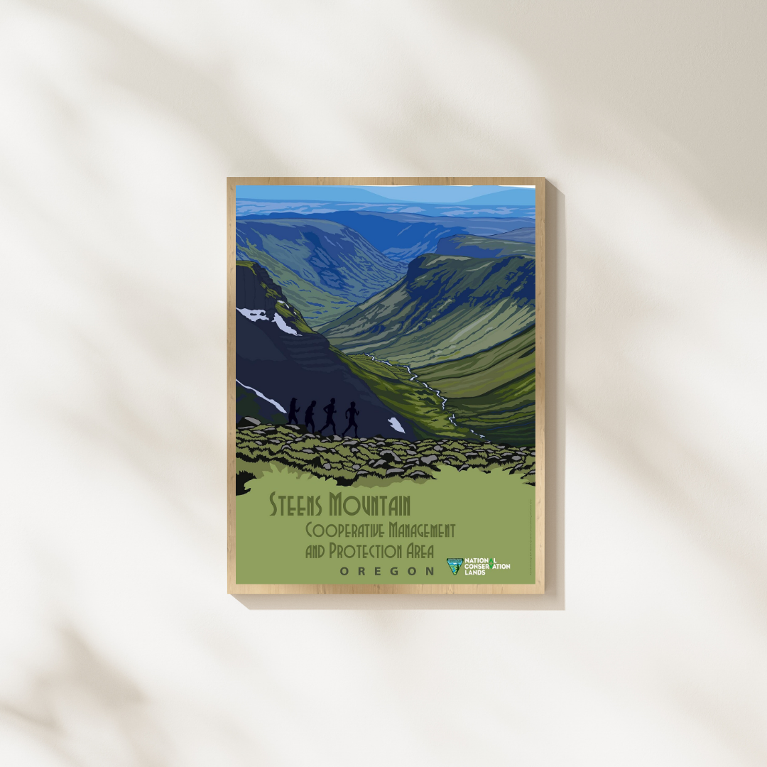 Steens Mountain Cooperative Management Area in Oregon Poster Print – Vintage Oregon Wilderness Wall Art