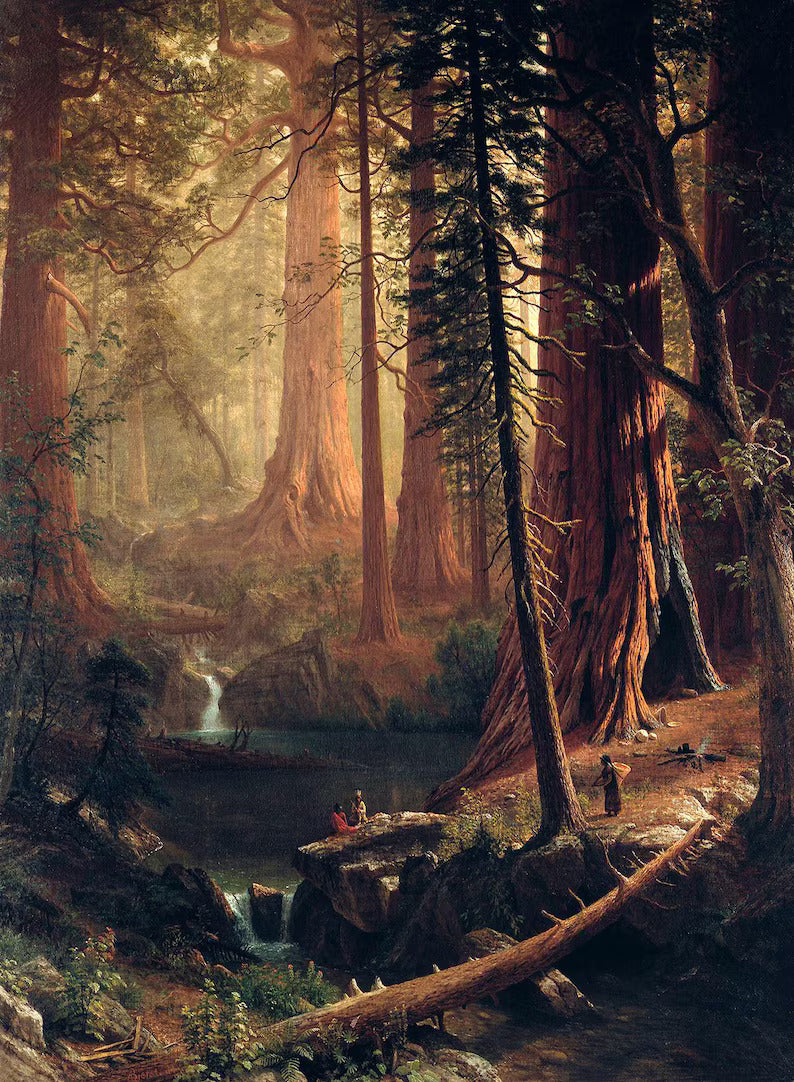 Albert Bierstadt - Giant Redwood Trees of California Art Print, American Landscape Wall Art