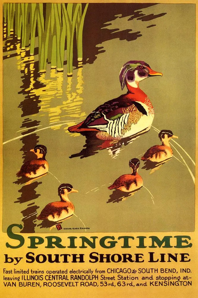 Springtime by South Shore Line Vintage Travel Poster Print – Indiana Dunes Duck Wildlife Wall Art