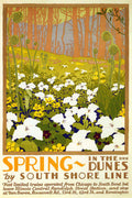 Spring in the Dunes – South Shore Line Vintage Travel Poster Print, Floral Wall Art