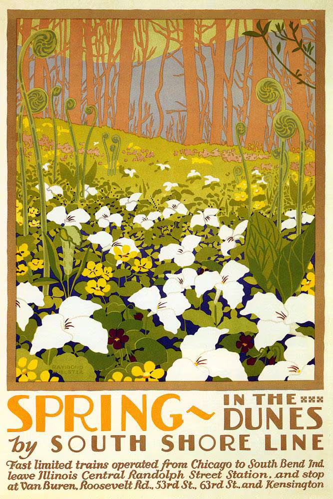 Spring in the Dunes – South Shore Line Vintage Travel Poster Print, Floral Wall Art
