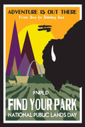 Public Lands Parks Day Buffalo Poster Print – Vintage National Parks Wall Art