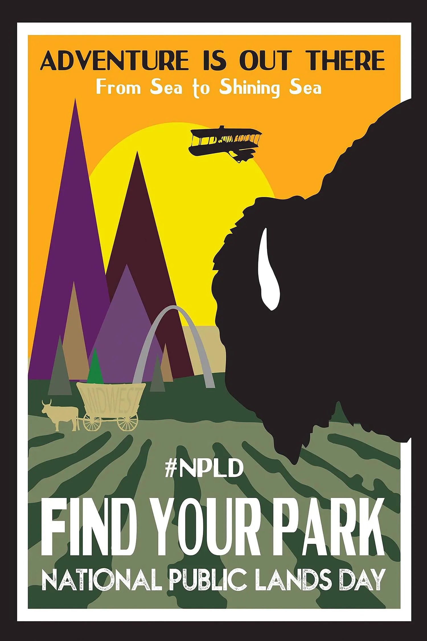 Public Lands Parks Day Buffalo Poster Print – Vintage National Parks Wall Art